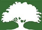 small tree logo